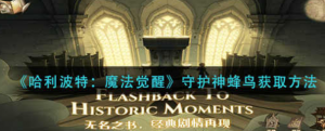 哈利波特魔法觉醒守护神蜂鸟怎么获取 守护神蜂鸟获取方法