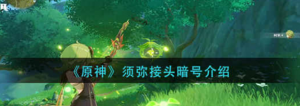 原神须弥接头暗号是什么 须弥接头暗号一览