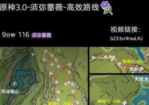 原神须弥蔷薇采集路线有哪些2022 原神蔷薇快速获得的路线