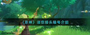 原神须弥接头暗号是什么 须弥接头一览