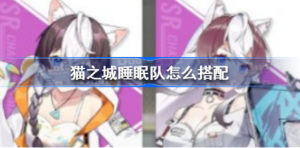 猫之城睡眠队如何搭配 猫之城睡眠队搭配介绍