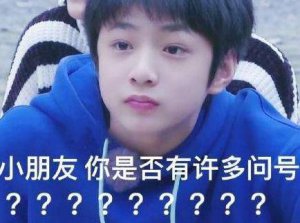 ​小朋友你是否有很多问号歌词是什么歌