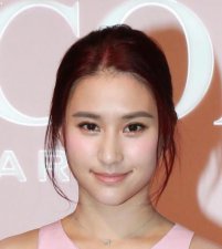 何超莲结婚对象 何鸿燊与三房太太陈婉珍所生的二女儿
