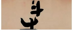 电影《斗牛》影评 要打分的话只能得6分