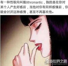 lithromantic是什么意思，是性单恋的意思(一种性取向)
