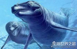 史前顶级掠食者，梅氏利维坦鲸(长达17米/重65吨)(2)