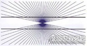 黑林错觉，你是否相信你所见到的
