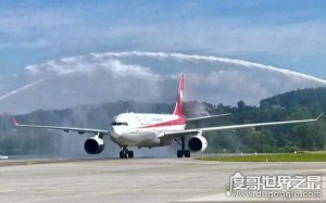 飞机常识科普，飞机为什么要过水门（寓意接风洗尘）