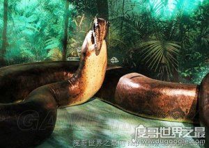 地球史上最大的蛇，塞雷洪泰坦蟒(长达15米/天下无敌)