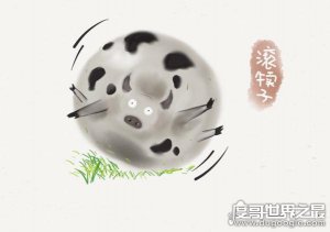东北四大神兽和八大犊子，滚犊子是什么意思(滚远些/生气)
