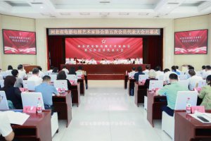 赵丽颖、方琼任河北省影视家协会副主席