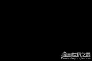 世界上最好斗的鲨鱼，牛鲨(对人类的威胁最大)
