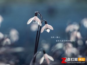 爱上你算我失控情不由衷陷入牢笼是什么歌，失控歌曲介绍