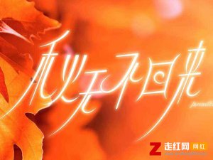 就让秋风带走我的思念是什么歌，秋天不回来歌曲介绍