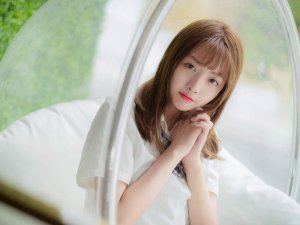 你骄傲的飞远我栖息的夏天是什么歌，飞鸟和蝉歌曲介绍