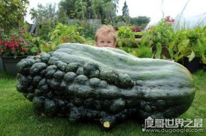 世界上最大的葫芦，巨型葫芦(重达136斤/长3米)