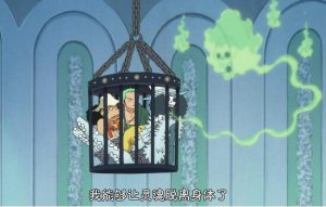 布鲁克黄泉果实的隐藏能力，能够永生/克制魂魂果实 恶魔果实是