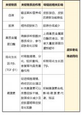 吸烟影响颜值？这是真的！