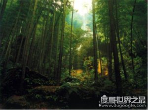 关于四川黑竹沟六大未解之谜，神秘失踪/地磁异常(很诡异)