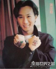 黄家驹死亡真相，因意外从两米多高舞台掉落(头部着地致死)
