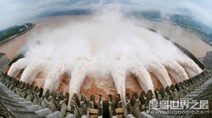 ​三峡发现一条受伤真龙，三峡试水出现受伤巨兽疑是龙