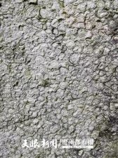 ​发现“渗流豆”奇观，贵阳这个地方地质遗迹丰富