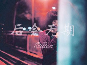 ​等不到你的雪月风花是什么歌，后会无期歌曲介绍