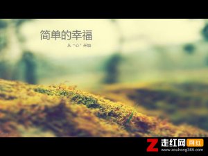 ​平平淡淡简单的幸福不会再有孤独是什么歌，简单的幸福歌曲介绍