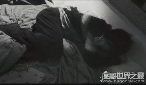 最令人窒息的电影，世界上最不安的人(千万不要作死去看它)