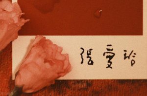 ​白月光和朱砂痣是什么意思（白月光和朱砂痣是一回事）