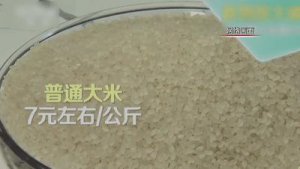 ​比普通大米贵十几倍！ “控糖大米”真能控血糖？专家有话说…