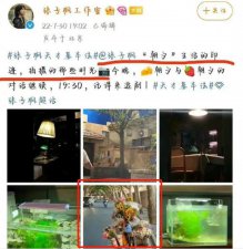 ​不是人见人爱吗，她咋突然翻车了？