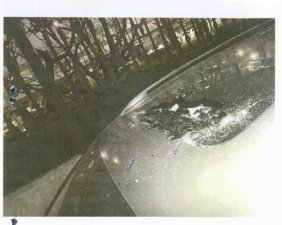 ​“天降”酒瓶砸坏车辆，男子因高空抛物获刑！