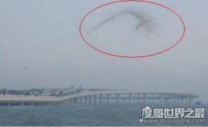 ​世界上真的有龙吗？日本瑞龙寺有真龙标本(一种叫洞螈的蜥蜴)