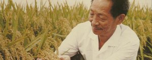​关于袁隆平的个人信息 袁老人物事迹和精神