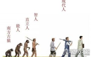 ​世界上动物智商排名，最高级动物最聪明（人类）