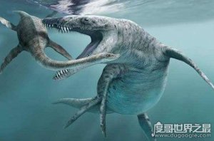 ​史前20大恐怖巨兽排行，史前第一可怕巨兽身份揭晓(乃沧龙)