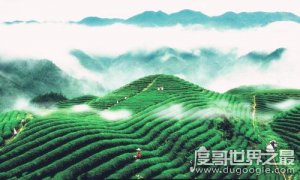 ​黔是哪个省的简称，就是贵州省的简称(省会贵阳车牌号为黔A)