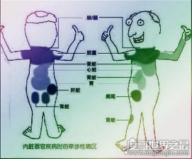 ​身体各个器官疼痛位置图片，切记不可＂自诊＂(仅做为参考)