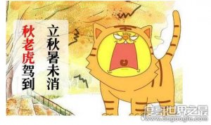 ​秋老虎是什么意思，每年秋老虎是什么时候开始(8-9月份之间)