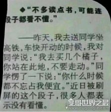 ​买橘子什么梗，我是你爹(出自朱自清的背影的一段话)