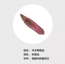 ​一顿宵夜下肚后经常腹胀，女子得知检查结果当场懵了！