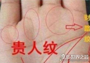 ​9种手纹的女人命好，女人有这几种手纹不是富贵就是旺夫