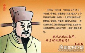 ​王安石是哪个朝代的，它是北宋时期著名的政治改革家(官至宰相)