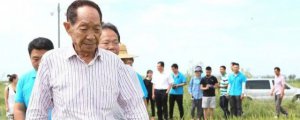 ​袁隆平生平及主要事迹 一位种了一辈子稻子的农民