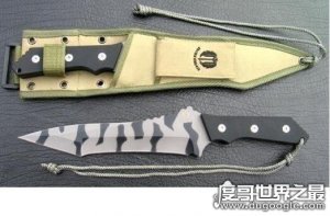 ​世界上最漂亮的匕首，盘点十款外形漂亮杀伤力又大的匕首