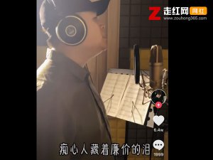 ​痴心人藏着廉价的泪买了一夜的醉是什么歌，燕分飞歌曲介绍