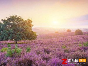 ​吹动少年的心是什么歌，明天会更好歌曲介绍
