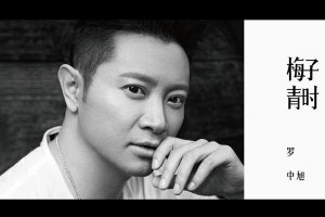 ​罗中旭个人资料 耳朵掉了一大半怎么回事