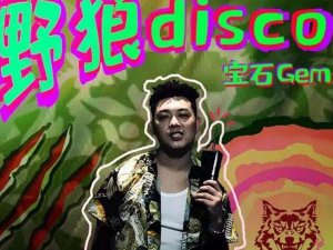​心里的花我想要带你回家什么歌，野狼disco歌曲介绍
